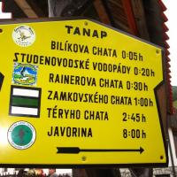 , Kinga