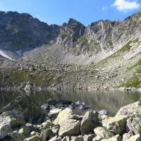 Capi Staw, Kinga