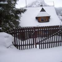 , Janek