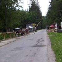 , Janek