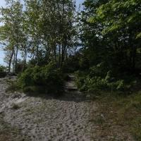, MARTUSIA I ADAŚ