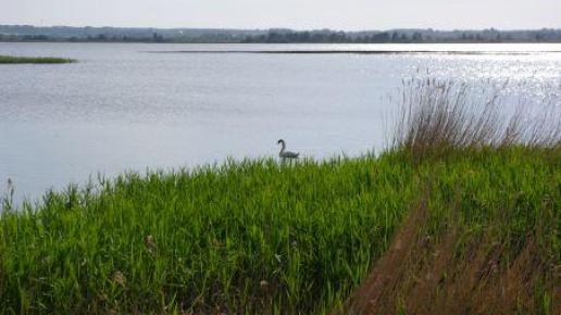 W drodze na Hel - Jezioro Żarnowieckie, Wojciech Soroka