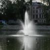 , Darek