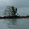 Balaton, nena