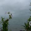 Balaton, nena