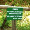 Tablica informacyjna BdPN, Tadeusz - WIARUSY