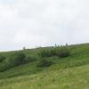Widok na szlak na Połoninę Wetlińska, Tadeusz - WIARUSY