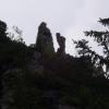 , Janek