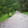 , Janek