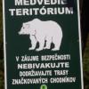 , Janek