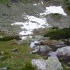 , Janek