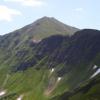 , Janek