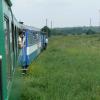 Ciuchcia Expres Ponidzie, Katarzyna Jamrozik