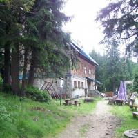 schronisko na Lipowskiej, gaba