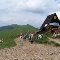 Ostatnie metry przed Chatką Puchatka, Tadeusz - WIARUSY