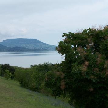 Szlakiem winnic i Balatonu - zdjęcie