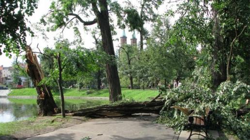 Legnica park, Darek