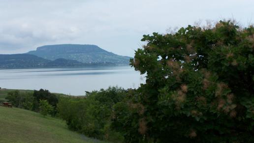 Szlakiem winnic i Balatonu , nena