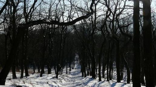 , MARTUSIA I ADAŚ