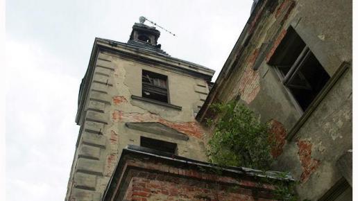 Pałac w Międzylesiu, Artur
