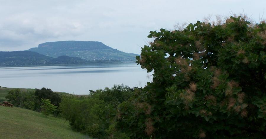 Szlakiem winnic i Balatonu - zdjęcie