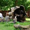 Krokowa - park otaczający zamek, Wojciech Soroka