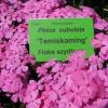, Darek
