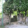 , Darek