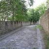 , Darek