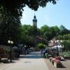 , Darek