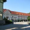 , Darek