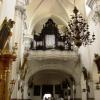 Wnętrze Międzynarodowego Sanktuarium św. Jadwigi Śląskiej, Darek