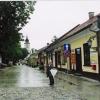 , elzbieta reimus