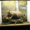 USTRZYKI DOLNE - MUZEUM PRZYRODNICZE, Tadeusz - WIARUSY