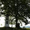 , Lidka Kwiatkowska