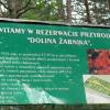 , Katarzyna Jamrozik