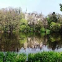 Staw parkowy, Darek