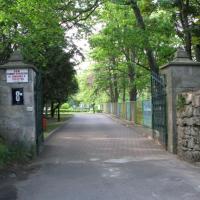 Brama Główna , Darek