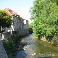 , Darek