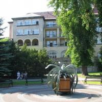 , Darek