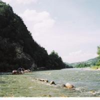 , elzbieta reimus