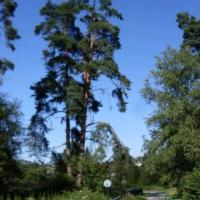 , Lidka Kwiatkowska