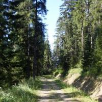 , Lidka Kwiatkowska