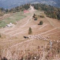 łowiecki :), Lidka Kwiatkowska