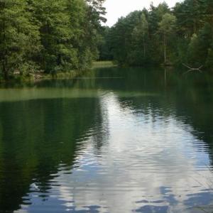 Dolina Żabnika