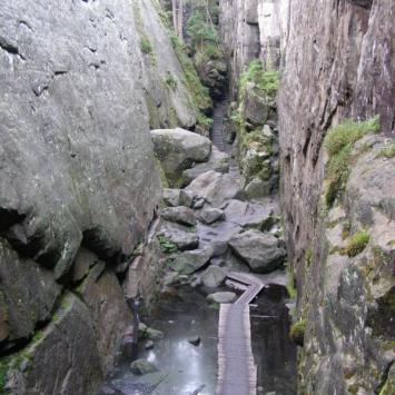Szczeliniec, Danusia
