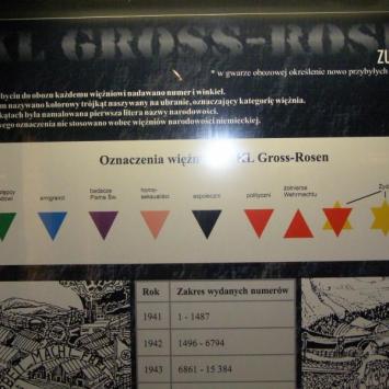Gross Rosen, Danusia