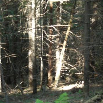 , Lidka Kwiatkowska