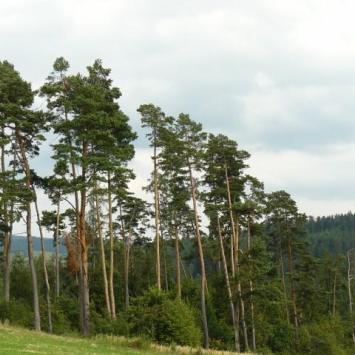 , Lidka Kwiatkowska
