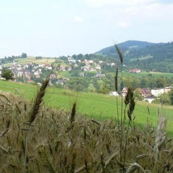 , Lidka Kwiatkowska